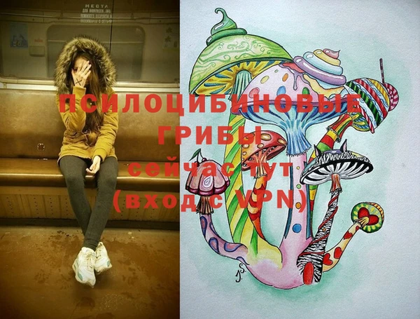 кристаллы Вяземский