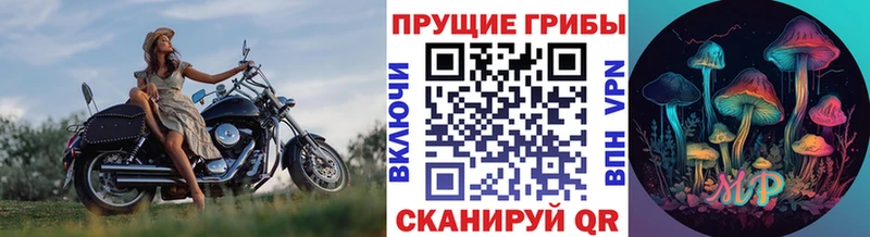 Купить  Кстово  Галлюциногенные грибы ЛСД 